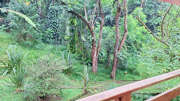 Foto imóvel